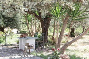 Xarites Skyros